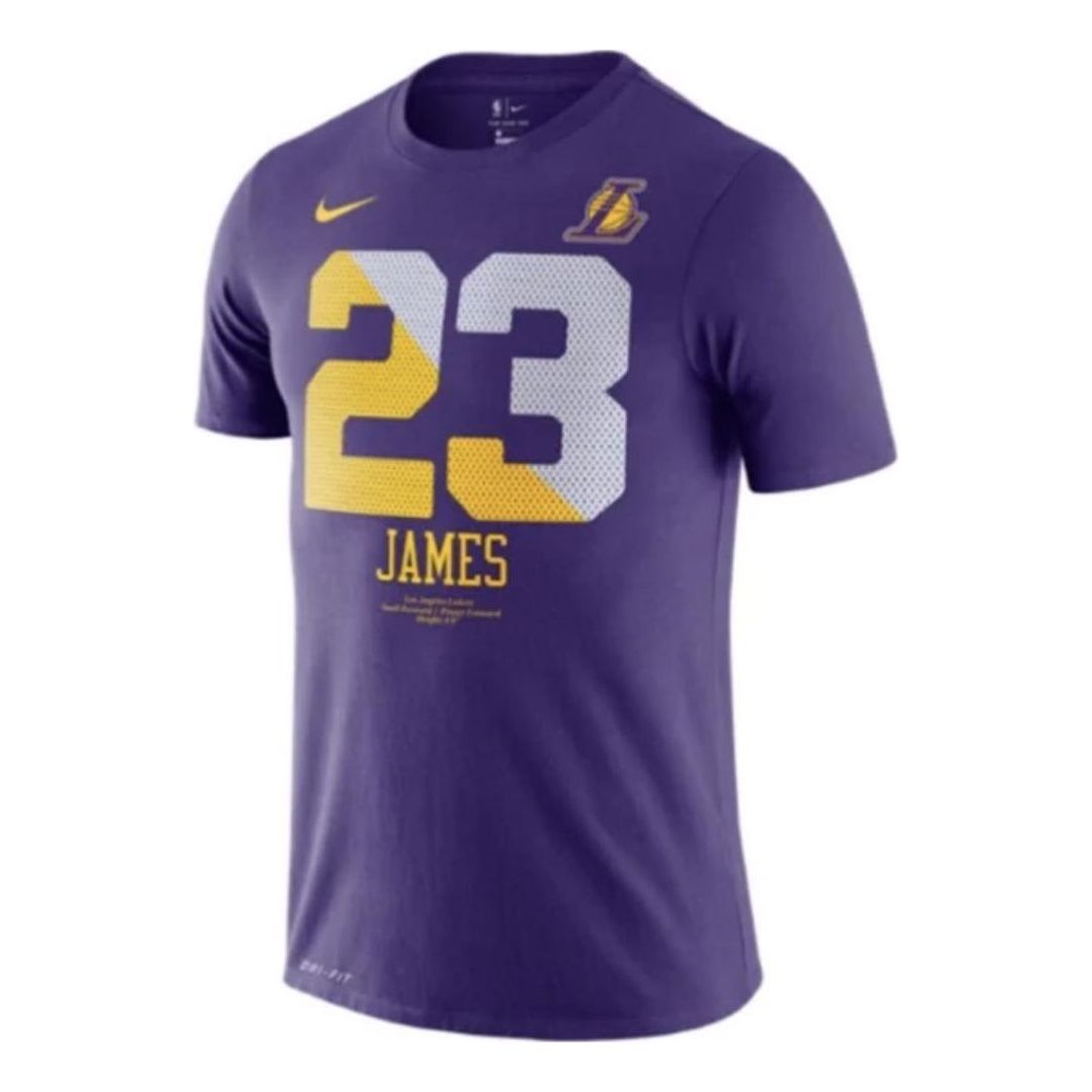 Nike LAKERS JAMES jersey 'Purple' AT1161-547 sold by KicksCrew