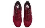 Nike Air Zoom Pegasus 39 'Oklahoma' DR1974-600 sold by KicksCrew