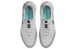 Nike Air Zoom Infinity Tour NEXT% 'White Grey Fog' DC5221-105 sold by KicksCrew