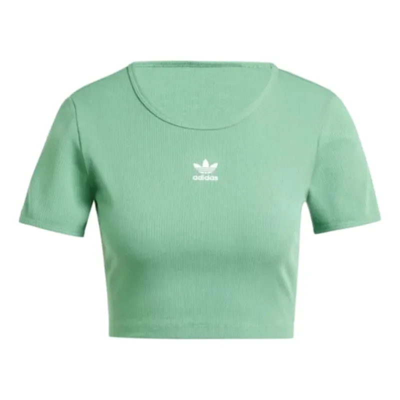 (WMNS) adidas originals Essential Ribbed T-Shirt 'Green White' IY9665 sold by KicksCrew