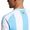 adidas Argentina 24 Home Fan Edition Soccer Jersey Asia Sizing 'White Blue Burst' IP8409 sold by KicksCrew