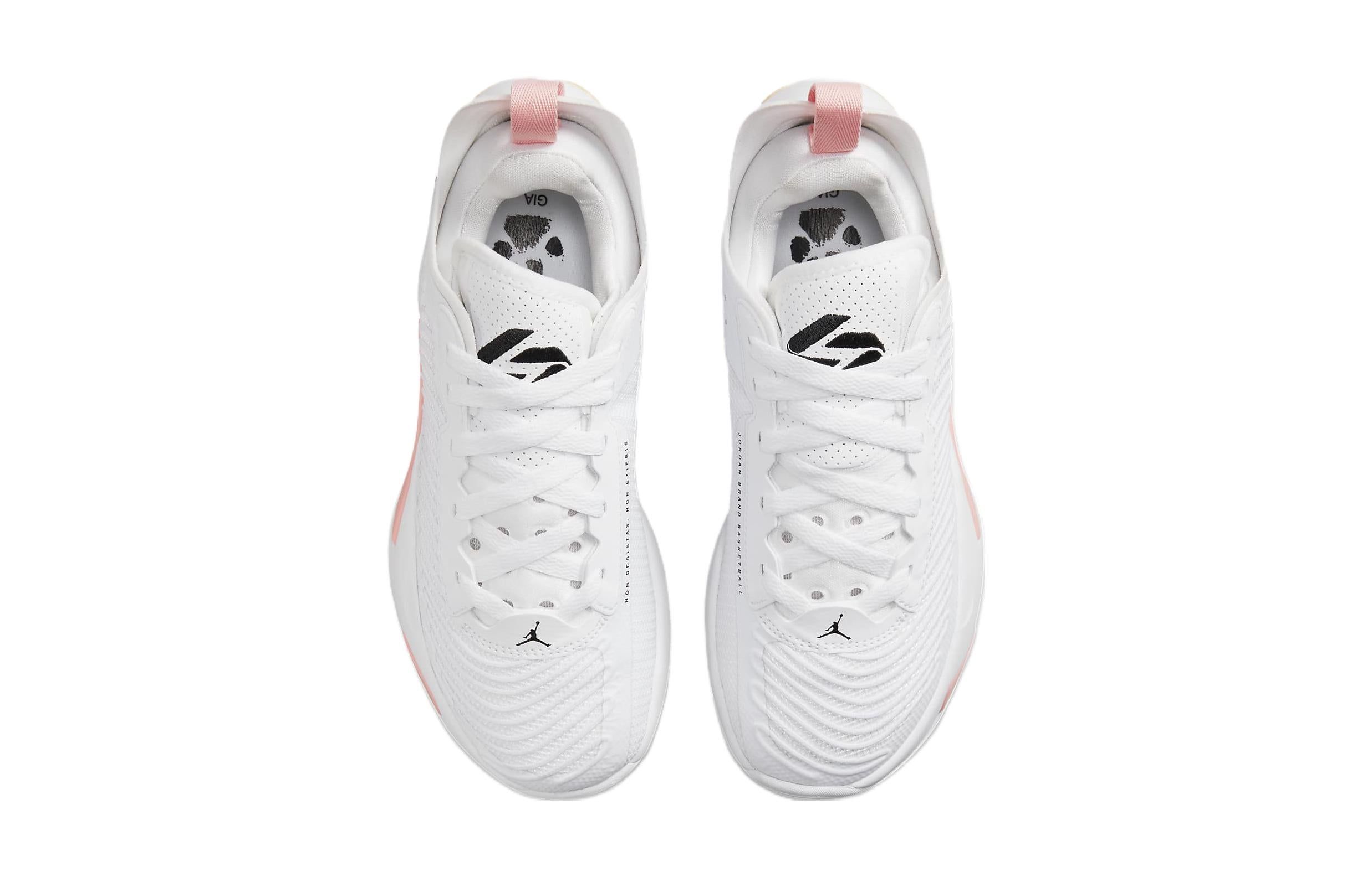 (GS) Air Jordan Luka 1 'My Dawgs' DQ6513-106 sold by KicksCrew product image thumbnail 4