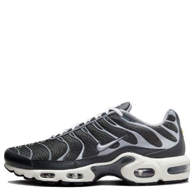 Nike Air Max Plus SE 'Iron Grey' DZ2655-001 sold by KicksCrew