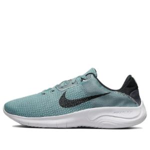 Nike Flex Experience Run 11 Next Nature 'Aviator Grey' DD9284-007 sold by KicksCrew