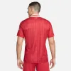 Nike Dri-Fit SS24 Soccer Jersey 'Red' FN8798-688 sold by KicksCrew