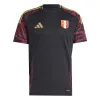 adidas Peru 24 Away Soccer Jersey 'Black' IQ2445 sold by KicksCrew