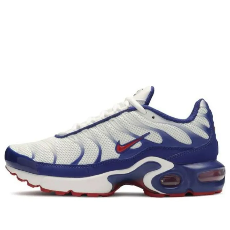 (GS) Nike Air Max Plus 'USA' CK0003-100 sold by KicksCrew
