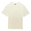 adidas Fear of God Athletics Performance Jersey T-shirt 'Pale Yellow' IM6080 sold by KicksCrew