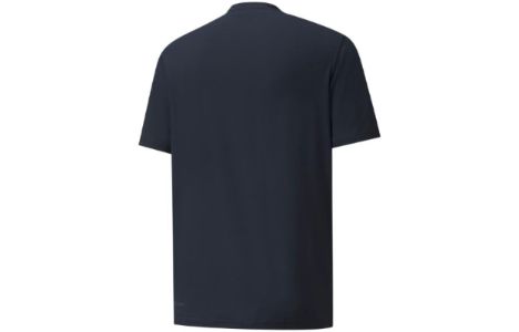 Puma X Palm Tree Crew Golf Tee 'Navy' 534087-02 sold by KicksCrew