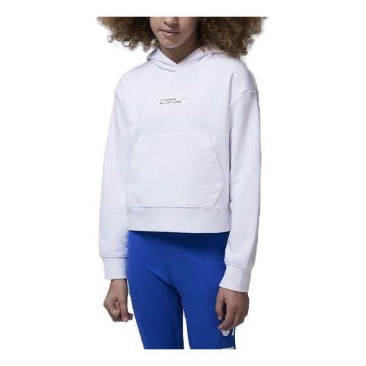 (GS) Air Jordan x Paris Saint-Germain Fleece Pullover Hoodie 'White' FB0150-100 sold by KicksCrew