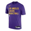 Nike x NBA LA Lakers Dri-FIT Practice T-shirt 'Purple' FJ0209-504 sold by KicksCrew
