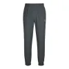 Mizuno Performance Sportswear Pants 'Grey' J2CF31E1 sold by KicksCrew