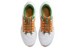 Nike Air Zoom Pegasus 40 'Florida A&amp;M University' DZ5941-100 sold by KicksCrew