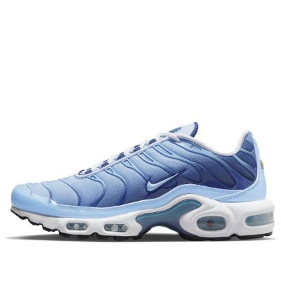 (WMNS) Nike Air Max Plus 'Celestine Blue' FJ4736-400 sold by KicksCrew