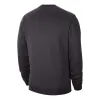 Nike College Club Fleece Sweatshirt 'Florida State' DR2983-045 sold by KicksCrew