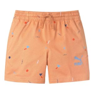 (GS) Puma X Tiny Aop Woven Shorts 'Orange' 533417-05 sold by KicksCrew