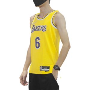 Nike x NBA LA Lakers Jerseys 'LeBron James 6' DB3576-731 sold by KicksCrew