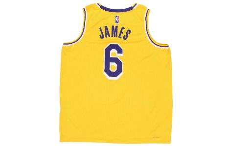 Nike x NBA LA Lakers Jerseys 'LeBron James 6' DB3576-731 sold by KicksCrew