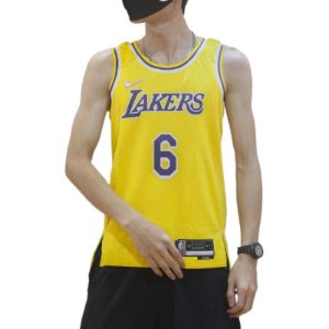 Nike x NBA LA Lakers Jerseys 'LeBron James 6' DB3576-731 sold by KicksCrew