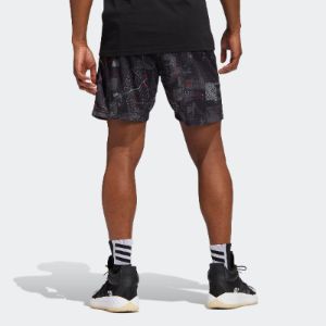 adidas Dame DOLLA Shorts 'Multicolor' HE6373 sold by KicksCrew