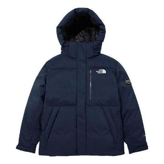 The North Face Womens Parka coat 800 Down summit series
