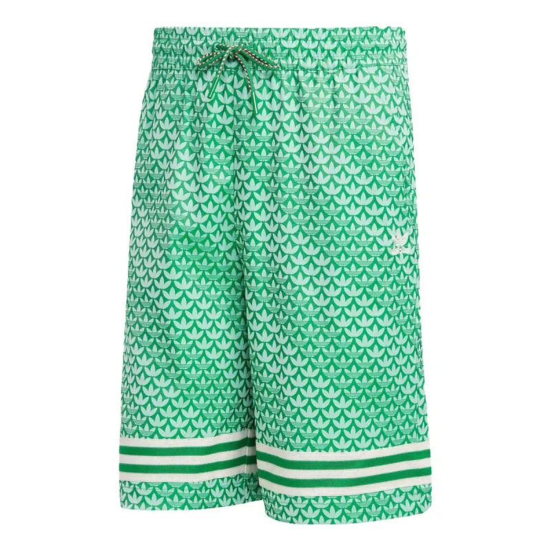 (WMNS) adidas originals SS23 adicolor 70s Logo Short 'Green' IK7881 sold by KicksCrew