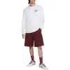 Nike SB Max90 Graphic Long Sleeve T-Shirt Asia Sizing 'White' FQ3714-100 sold by KicksCrew