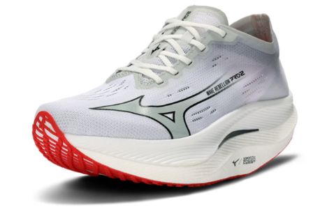 Mizuno Wave Rebellion Pro 2 'Grey' U1GD241701 sold by KicksCrew