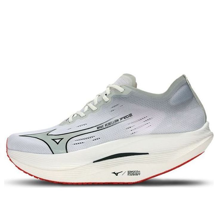 Mizuno Wave Rebellion Pro 2 'Grey' U1GD241701 sold by KicksCrew
