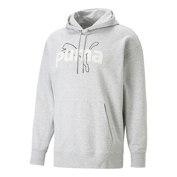 Puma Team Graphic Hoodie 'Grey' 620631-04 sold by KicksCrew