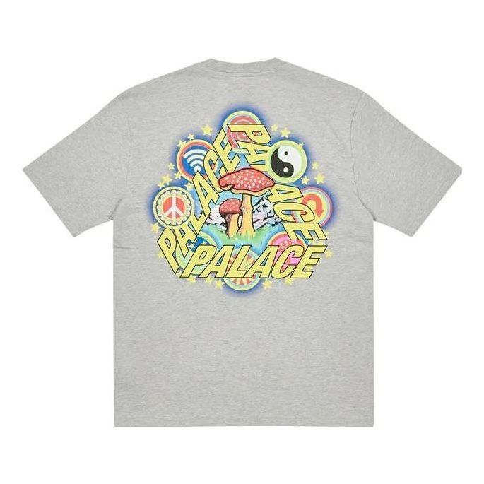 Palace FW22 Bun 5g T-Shirt FW22 'Grey' P23TS084 sold by KicksCrew