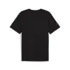 PUMA x F1 Essential Logo Motorsport T-shirt 'Black' 625851-01 sold by KicksCrew