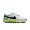 Nike Air Zoom Victory Tour 2 NRG 'Thistle Flower' DR5473-103 sold by KicksCrew