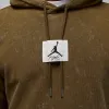 Air Jordan Flight Fleece Washed Pullover Hoodie 'Light Olive' DR3087-385 sold by KicksCrew