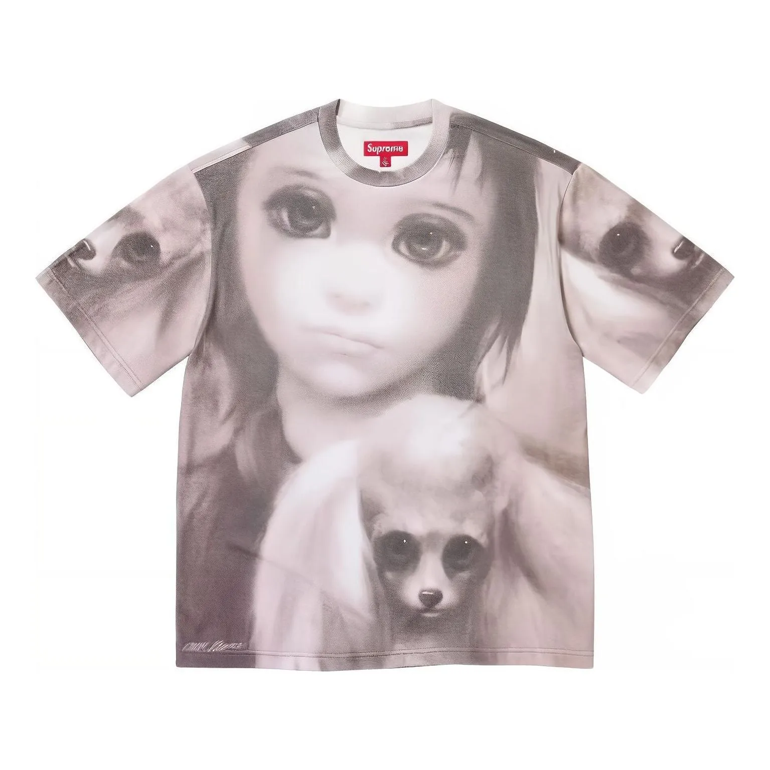 Supreme x MARGARET KEANE SS24 Tee SUP-SS24-0145 sold by KicksCrew