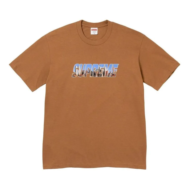 Supreme Gotham T-Shirt 'Brown Teal' SUP-FW23-005 sold by KicksCrew