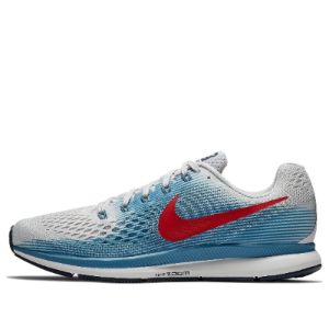 Nike Air Zoom Pegasus 34 'Vast Grey' 880555-016 sold by KicksCrew
