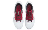 Nike Air Zoom Pegasus 40 'Georgia' DZ5977-100 sold by KicksCrew