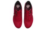 Nike Air Zoom Pegasus 39 'Ohio State' DR1966-600 sold by KicksCrew