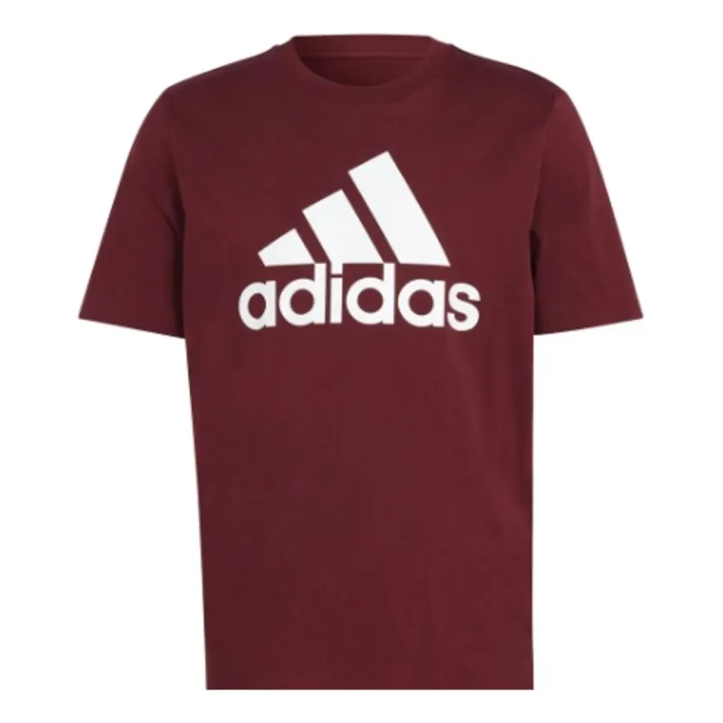 adidas Essentials Single Jersey Big Logo T-Shirt 'Burgundy' IS1301 sold by KicksCrew