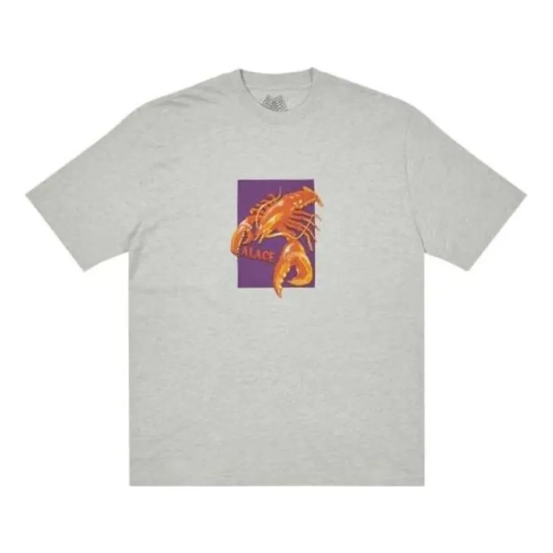 Palace FW22 Thermadore T-Shirt 'Grey' P23TS070 sold by KicksCrew