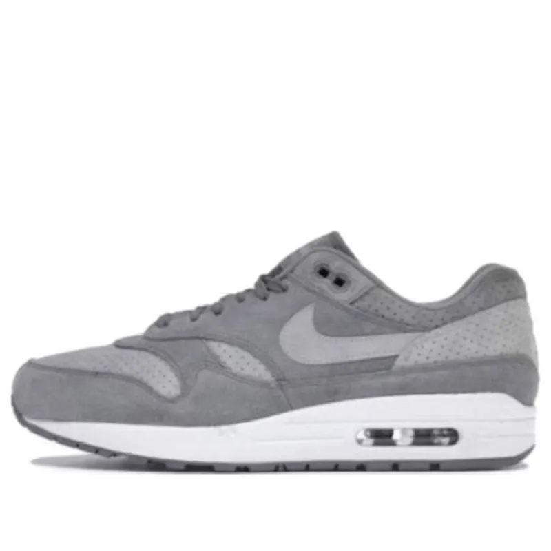 Nike Air Max 1 'Cool Grey Wolf Grey' 875844-005 sold by KicksCrew