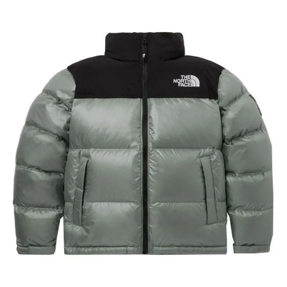 The North Face White Label Novelty Nuptse Down Jacket Asia Sizing