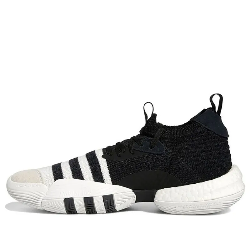 Adidas Trae Young 2.0 Basketball Shoes 'Cloud White / Core Black' H06477 sold by KicksCrew