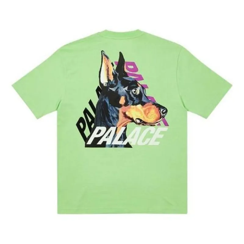 Palace P-3-K-9 T-Shirt 'Pistachio' P22TS170 sold by KicksCrew