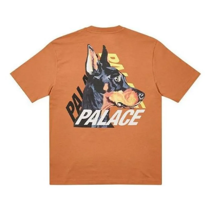 Palace P-3-K-9 T-Shirt 'Caramel' P22TS166 sold by KicksCrew