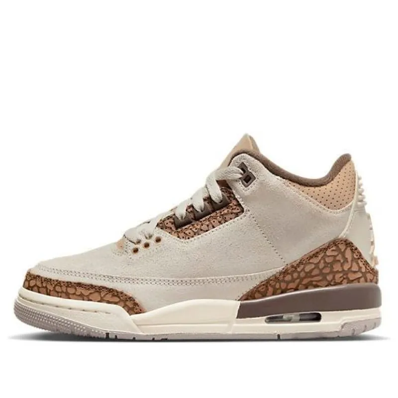 (GS) Air Jordan 3 Retro 'Palomino' DM0967-102 sold by KicksCrew