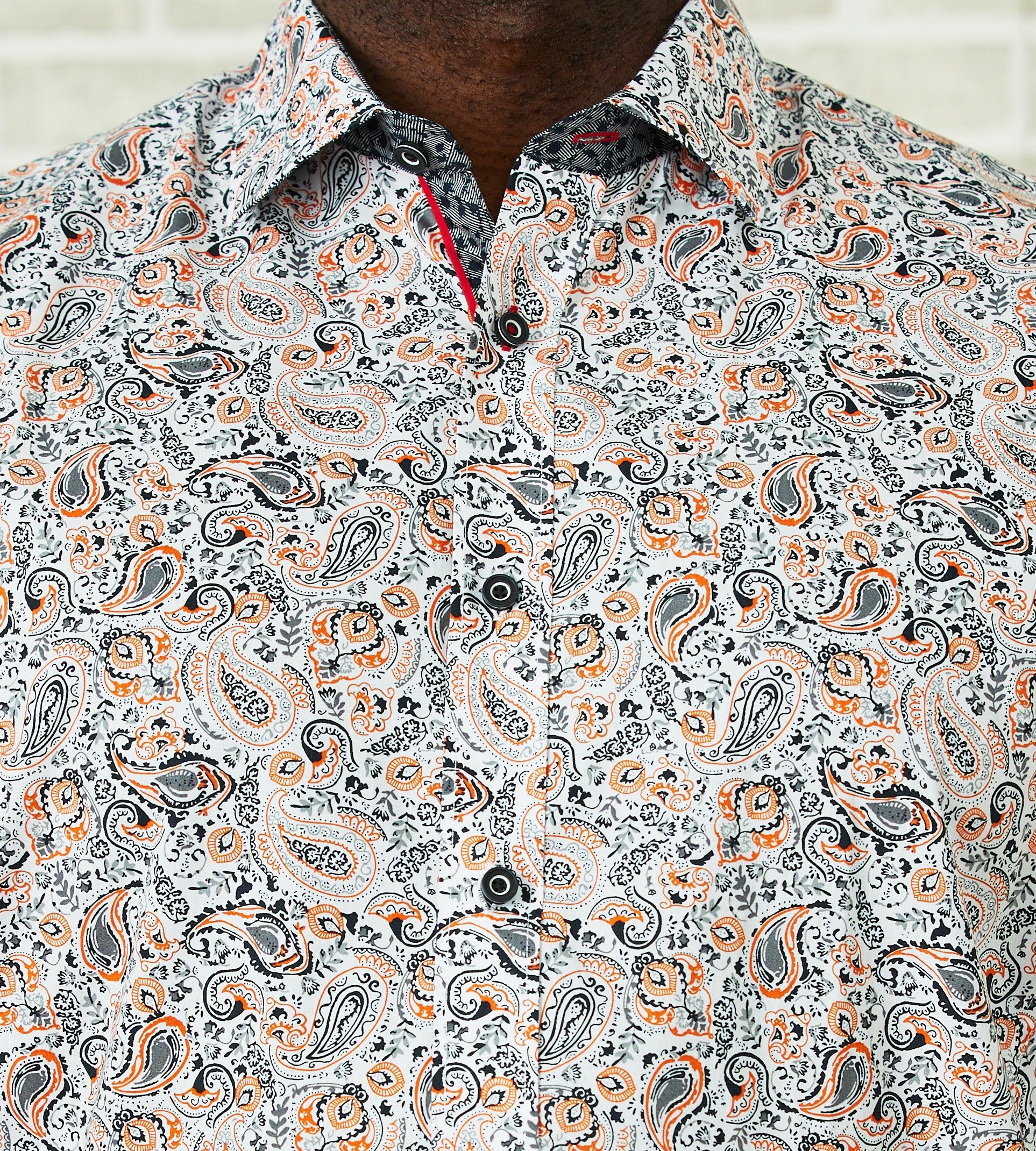 Non-Iron Paisley Print Long Sleeve Sport Shirt sold by Mr. Big and Tall product image thumbnail 2