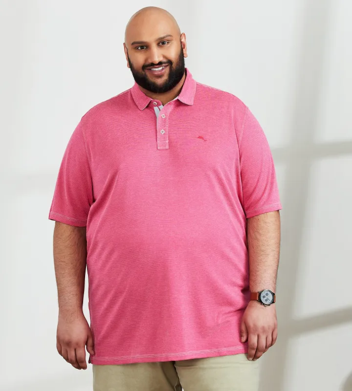 Paradiso Cove Polo sold by Mr. Big and Tall