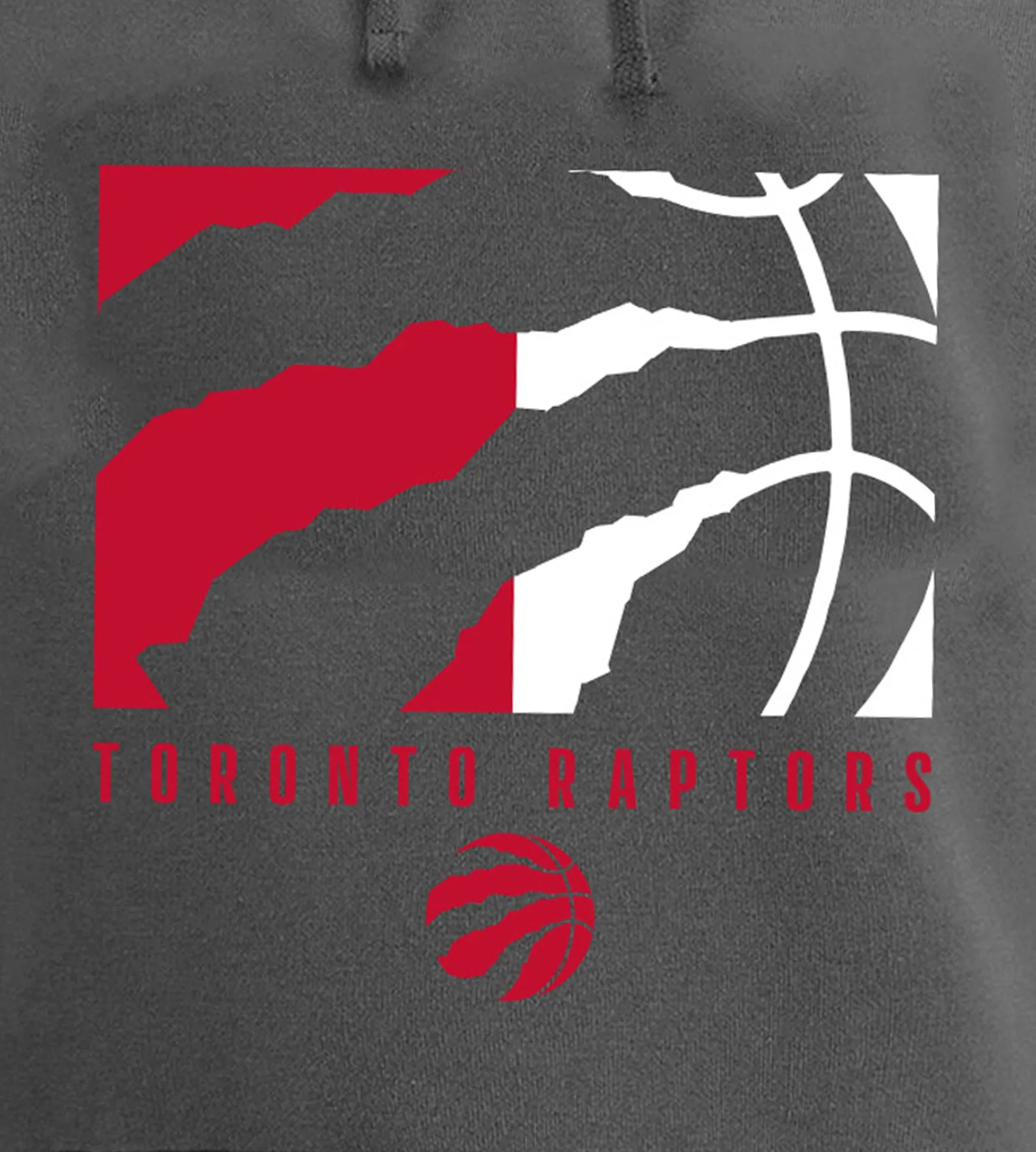 Toronto Raptors NBA Hoodie sold by Mr. Big and Tall product image thumbnail 2